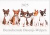 Buchcover Bezaubernde Basenji-Welpen (Wandkalender 2025 DIN A3 quer), CALVENDO Monatskalender
