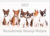 Buchcover Bezaubernde Basenji-Welpen (Wandkalender 2025 DIN A4 quer), CALVENDO Monatskalender