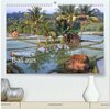 Buchcover Peter Fischer - Bali 2025 (hochwertiger Premium Wandkalender 2025 DIN A2 quer), Kunstdruck in Hochglanz