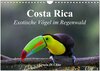 Buchcover Costa Rica - Exotische Vögel im Regenwald (Wandkalender 2025 DIN A4 quer), CALVENDO Monatskalender