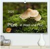 Buchcover Pilze in Wald und Flur (hochwertiger Premium Wandkalender 2025 DIN A2 quer), Kunstdruck in Hochglanz