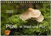 Buchcover Pilze in Wald und Flur (Tischkalender 2025 DIN A5 quer), CALVENDO Monatskalender