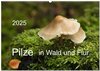 Buchcover Pilze in Wald und Flur (Wandkalender 2025 DIN A2 quer), CALVENDO Monatskalender