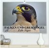 Buchcover Falken und Greifvögel. Edle Jäger (hochwertiger Premium Wandkalender 2025 DIN A2 quer), Kunstdruck in Hochglanz
