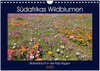 Buchcover Südafrikas Wildblumen - Blütenpracht in der Kap-Region (Wandkalender 2025 DIN A4 quer), CALVENDO Monatskalender