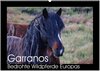 Buchcover Garranos - Bedrohte Wildpferde Europas (Wandkalender 2025 DIN A2 quer), CALVENDO Monatskalender