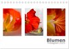 Buchcover Blumen Trilogien (Tischkalender 2025 DIN A5 quer), CALVENDO Monatskalender