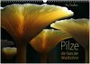 Buchcover Pilze - die Stars der Waldbühne (Wandkalender 2025 DIN A3 quer), CALVENDO Monatskalender
