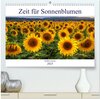 Buchcover Zeit für Sonnenblumen (hochwertiger Premium Wandkalender 2025 DIN A2 quer), Kunstdruck in Hochglanz