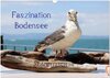 Buchcover Faszination Bodensee (Wandkalender 2025 DIN A3 quer), CALVENDO Monatskalender