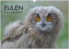 Buchcover Eulen-Kalender (Wandkalender 2025 DIN A3 quer), CALVENDO Monatskalender