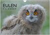 Buchcover Eulen-Kalender (Wandkalender 2025 DIN A4 quer), CALVENDO Monatskalender