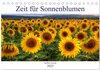 Buchcover Zeit für Sonnenblumen (Tischkalender 2025 DIN A5 quer), CALVENDO Monatskalender