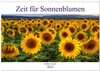 Buchcover Zeit für Sonnenblumen (Wandkalender 2025 DIN A3 quer), CALVENDO Monatskalender