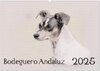 Buchcover Bodeguero Andaluz 2025 (Wandkalender 2025 DIN A2 quer), CALVENDO Monatskalender