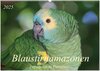 Buchcover Blaustirnamazonen - Papageien in Paraguay (Wandkalender 2025 DIN A2 quer), CALVENDO Monatskalender