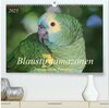 Buchcover Blaustirnamazonen - Papageien in Paraguay (hochwertiger Premium Wandkalender 2025 DIN A2 quer), Kunstdruck in Hochglanz