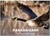 Buchcover KANADA-GANS - Der 'hupende' Vogel (Wandkalender 2025 DIN A2 quer), CALVENDO Monatskalender