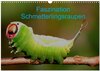 Buchcover Faszination Schmetterlingsraupen (Wandkalender 2025 DIN A3 quer), CALVENDO Monatskalender