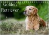 Buchcover Golden Retriever (Tischkalender 2025 DIN A5 quer), CALVENDO Monatskalender