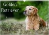 Buchcover Golden Retriever (Wandkalender 2025 DIN A3 quer), CALVENDO Monatskalender