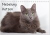 Buchcover Nebelung Katzen (Tischkalender 2025 DIN A5 quer), CALVENDO Monatskalender