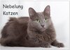 Buchcover Nebelung Katzen (Wandkalender 2025 DIN A2 quer), CALVENDO Monatskalender
