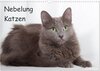 Buchcover Nebelung Katzen (Wandkalender 2025 DIN A3 quer), CALVENDO Monatskalender