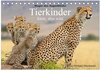 Buchcover Magie des Augenblicks - Tierkinder - klein, aber wild (Tischkalender 2025 DIN A5 quer), CALVENDO Monatskalender