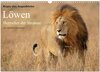 Buchcover Magie des Augenblicks - Löwen - Herrscher der Savanne (Wandkalender 2025 DIN A3 quer), CALVENDO Monatskalender
