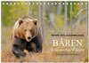Buchcover Magie des Augenblicks - Bären in nordischen Wäldern (Tischkalender 2025 DIN A5 quer), CALVENDO Monatskalender