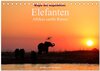 Buchcover Magie des Augenblicks - Elefanten - Afrikas sanfte Riesen (Tischkalender 2025 DIN A5 quer), CALVENDO Monatskalender