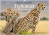 Buchcover Magie des Augenblicks - Tierkinder - klein, aber wild (Wandkalender 2025 DIN A2 quer), CALVENDO Monatskalender