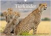 Buchcover Magie des Augenblicks - Tierkinder - klein, aber wild (Wandkalender 2025 DIN A3 quer), CALVENDO Monatskalender