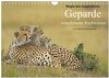 Buchcover Magie des Augenblicks: Geparde - verschmuste Raubkatzen (Wandkalender 2025 DIN A4 quer), CALVENDO Monatskalender