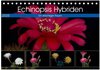 Buchcover Echinopsis Hybriden. Ein stachliger Traum (Tischkalender 2025 DIN A5 quer), CALVENDO Monatskalender