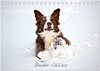 Buchcover Border Collies (Tischkalender 2025 DIN A5 quer), CALVENDO Monatskalender