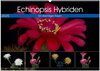 Buchcover Echinopsis Hybriden. Ein stachliger Traum (Wandkalender 2025 DIN A2 quer), CALVENDO Monatskalender