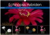 Buchcover Echinopsis Hybriden. Ein stachliger Traum (Wandkalender 2025 DIN A3 quer), CALVENDO Monatskalender