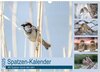 Buchcover Spatzen-Kalender (Wandkalender 2025 DIN A3 quer), CALVENDO Monatskalender