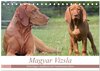 Buchcover Magyar Vizsla - Vielseitiger Jagdhund mit Familienanschluss (Tischkalender 2025 DIN A5 quer), CALVENDO Monatskalender