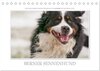 Buchcover Emotionale Momente: Berner Sennenhund. (Tischkalender 2025 DIN A5 quer), CALVENDO Monatskalender