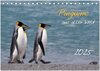 Buchcover Pinguine aus aller Welt (Tischkalender 2025 DIN A5 quer), CALVENDO Monatskalender