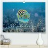 Buchcover Unterwasserwelt der Malediven II (hochwertiger Premium Wandkalender 2025 DIN A2 quer), Kunstdruck in Hochglanz
