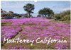 Buchcover Monterey California (Wandkalender 2025 DIN A3 quer), CALVENDO Monatskalender