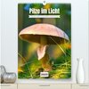 Buchcover Pilze im Licht (hochwertiger Premium Wandkalender 2025 DIN A2 hoch), Kunstdruck in Hochglanz
