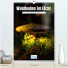 Buchcover Waldboden im Licht (hochwertiger Premium Wandkalender 2025 DIN A2 hoch), Kunstdruck in Hochglanz