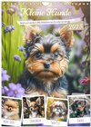 Buchcover Kleine Hunde. Süß und niedlich. Die beliebtesten Hunderassen (Wandkalender 2025 DIN A4 hoch), CALVENDO Monatskalender
