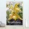 Buchcover Orchideenträume (hochwertiger Premium Wandkalender 2025 DIN A2 hoch), Kunstdruck in Hochglanz