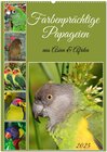 Buchcover Farbenprächtige Papageien aus Asien und Afrika (Wandkalender 2025 DIN A2 hoch), CALVENDO Monatskalender